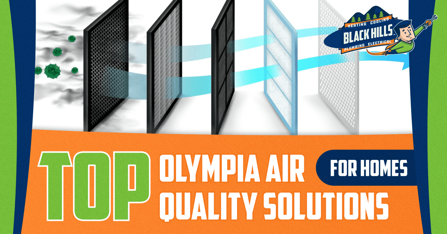 Top Olympia Air Quality Solutions for Homes Blog